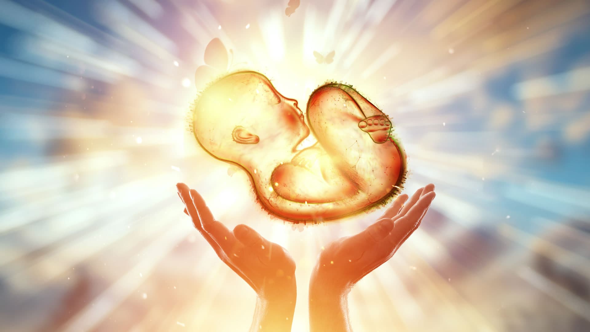 Educación médica continua en reproducción