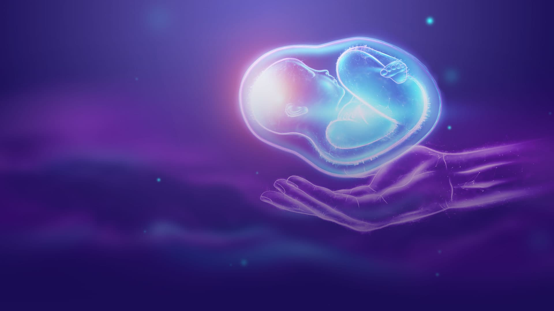 Impacto de la programación materno-fetal-neonatal