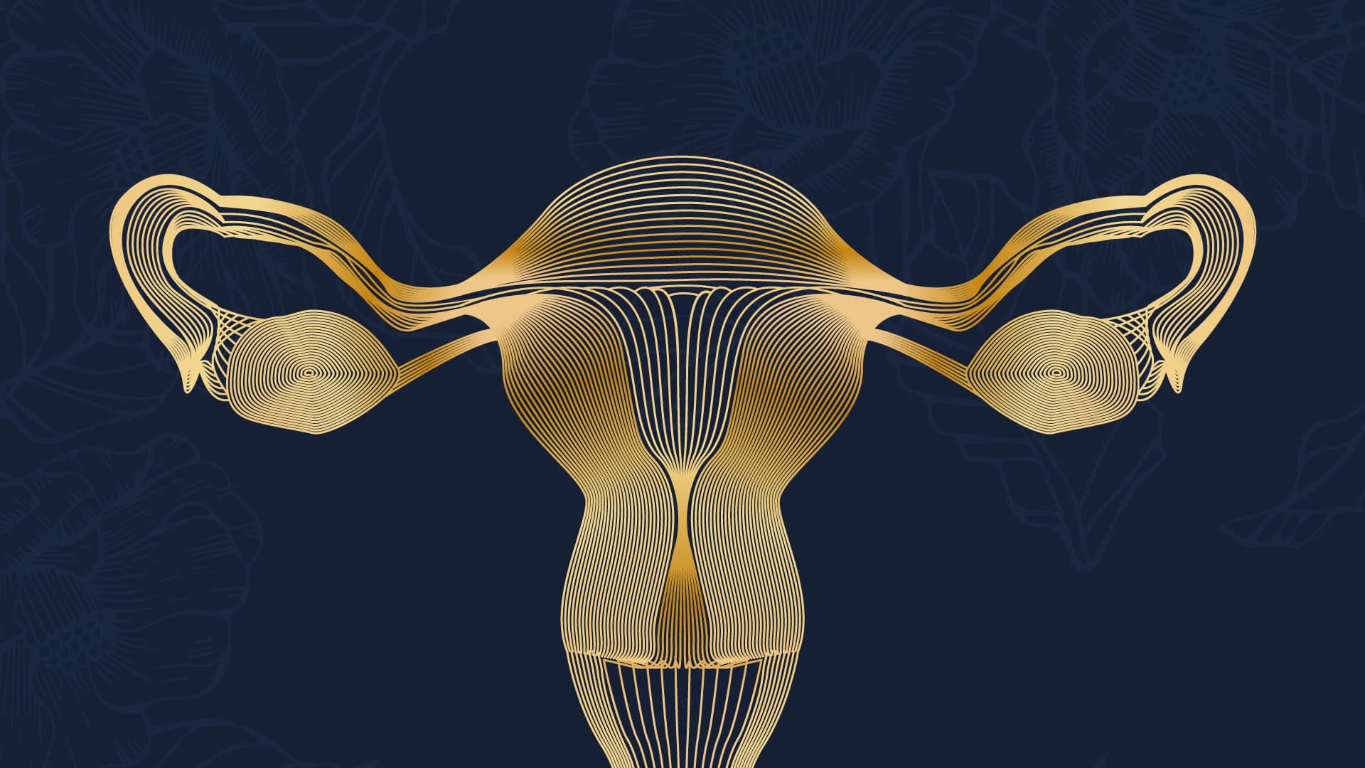 Microbiota vaginal, desafiando el dogma
