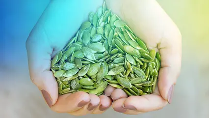 Fitoestrógenos y cáncer de mama