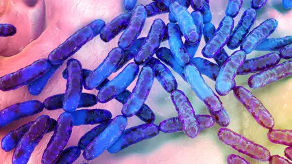 Lactobacillus iners y su producción de ácido láctico