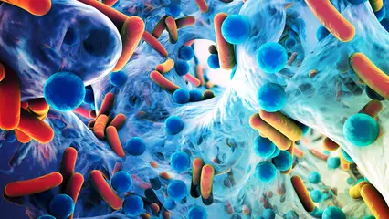 Biofilm o biopelículas bacterianas ... ¿qué son?