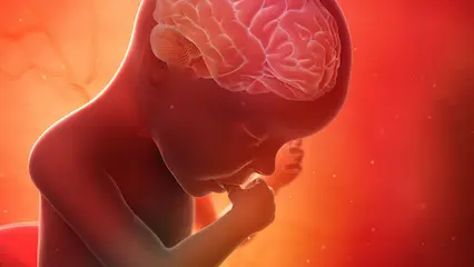 Hiperemesis gravídica y neurodesarrollo fetal