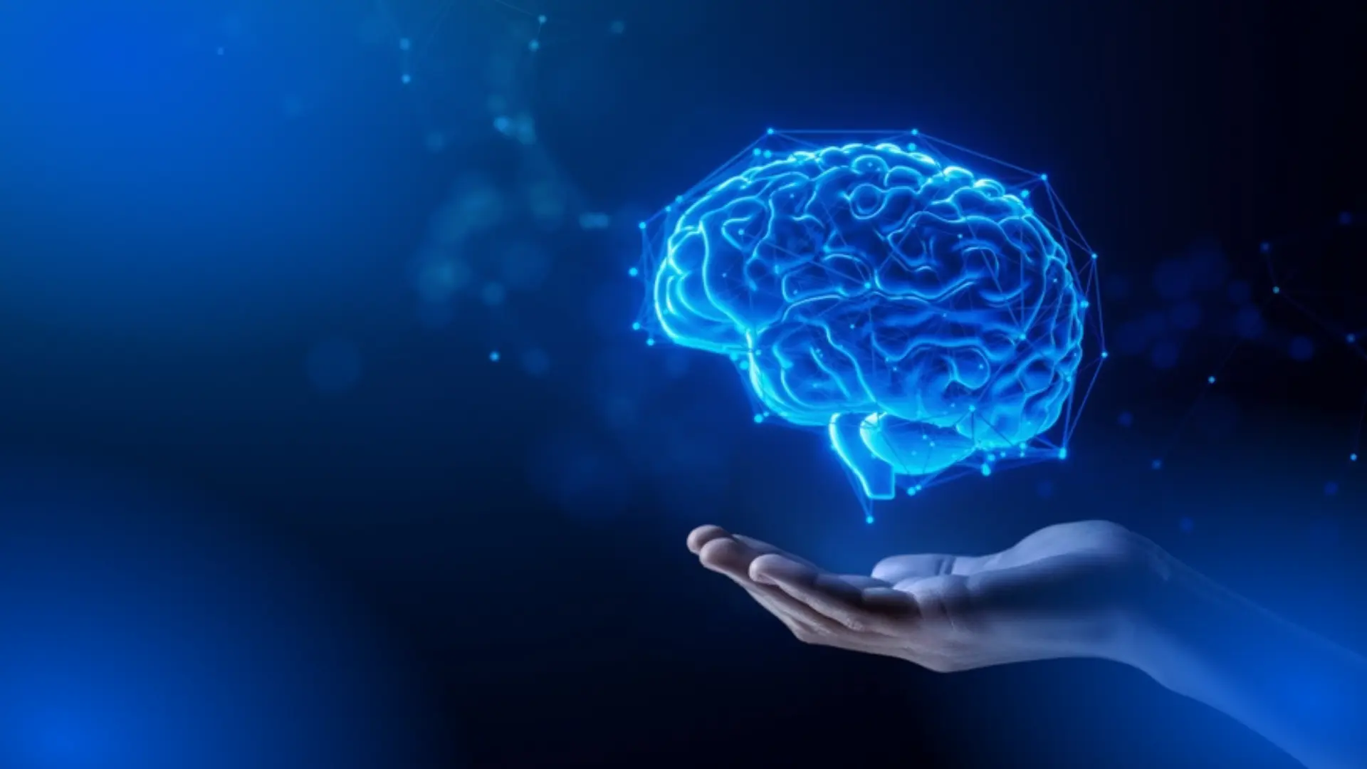 Eficacia de los fitoestrógenos en las neuronas para neuroprotección y neurodesarrollo