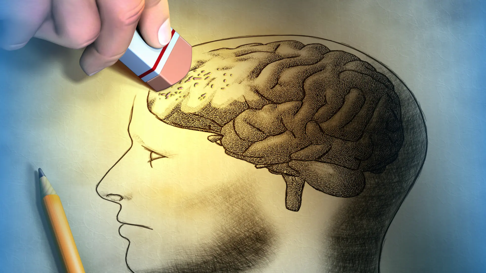 La genisteína y su potencial de retrasar la aparición de demencia en pacientes con Alzheimer