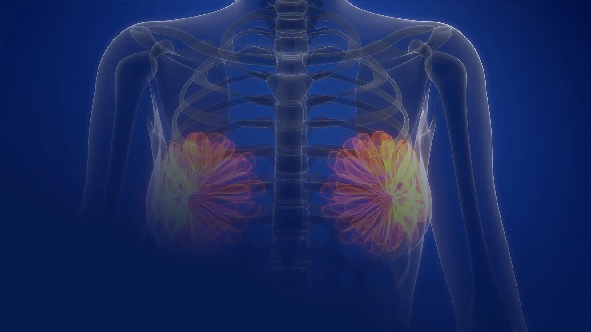 Resveratrol: Un Compuesto Natural con Potencial Impacto en la Fertilidad