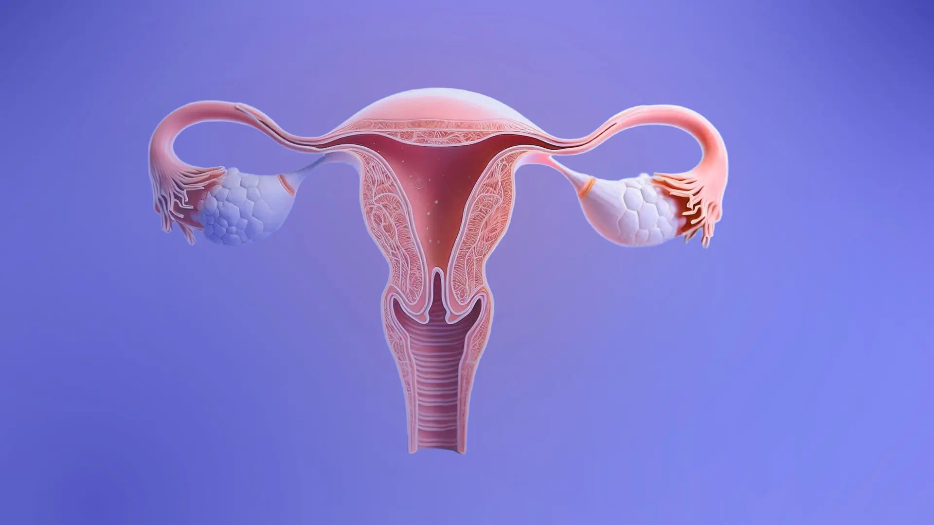¿Es el síndrome de ovario poliquístico una enfermedad metabólica? Nuevas perspectivas sobre una patología subestimada