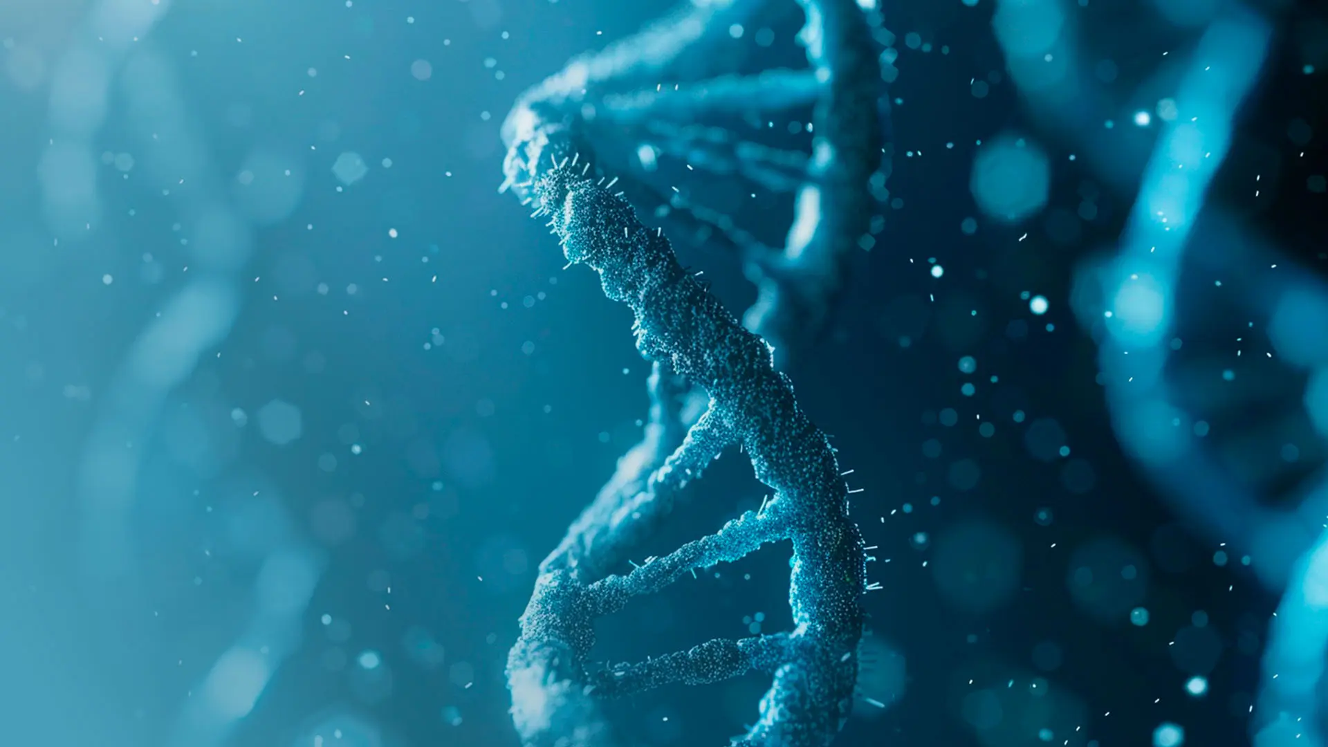 Mecanismos epigenéticos clave modulados por PUFAs durante el embarazo