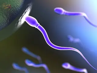 Efectos del Inositol sobre la fertilidad masculina