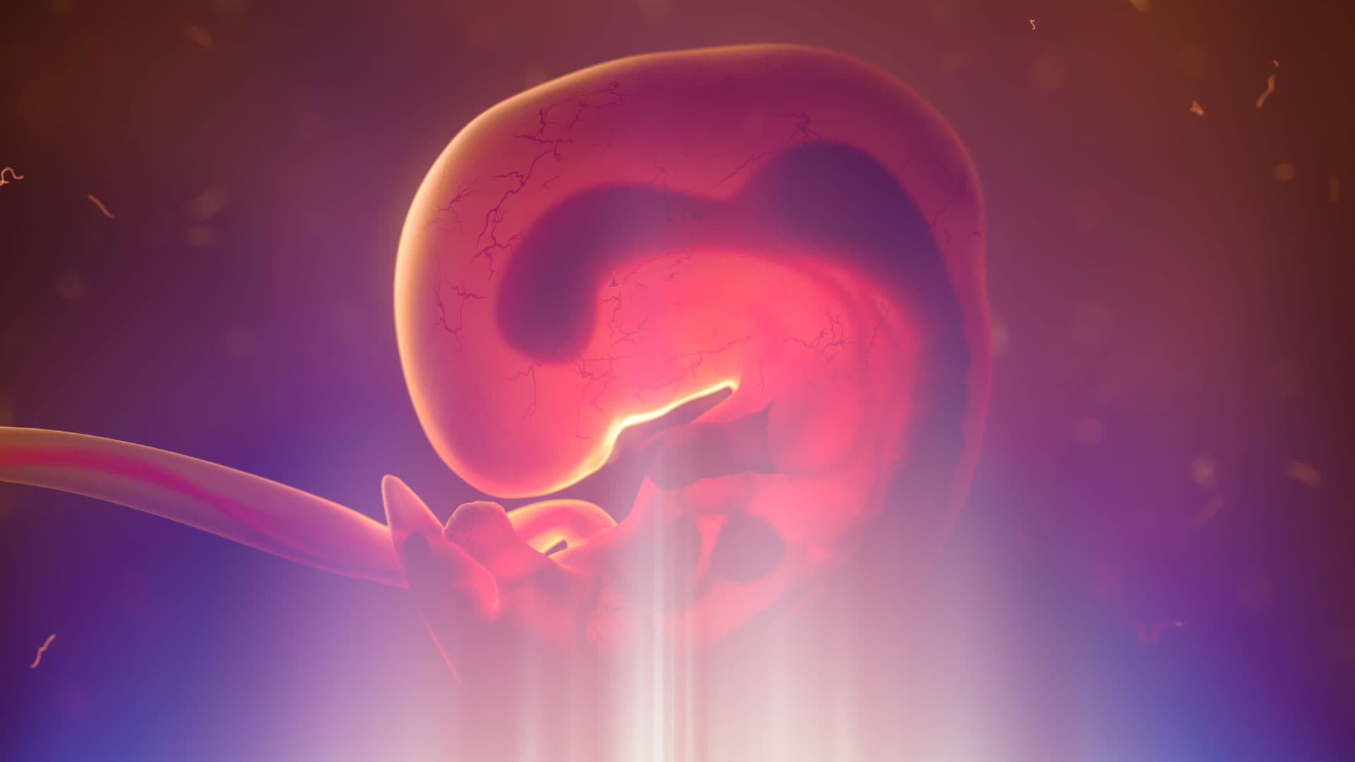 Científicos logran crear embriones a partir de dos células masculinas, en ratones