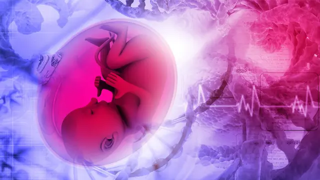 Epigenómica y la Reprogramación Fetal de las enfermedades crónicodegenerativas del adulto