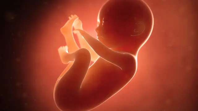 Evolución de la suplementación prenatal y su papel en la neuroprotección fetal