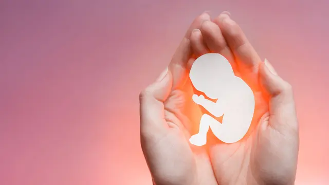 Desde el aborto hasta la preeclampsia; Impacto de la Microbiota
