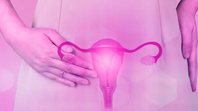 Nuevas estrategias para el tratamiento de las infecciones vaginales