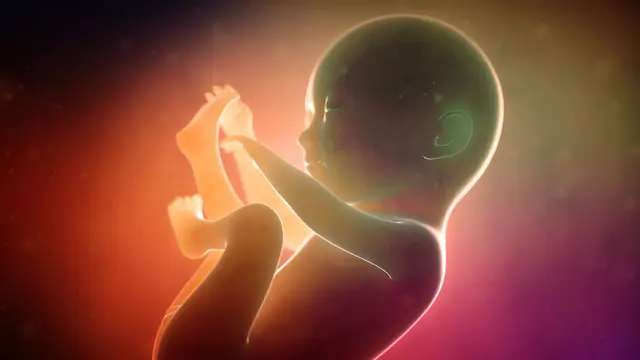 ¿Como lograr un aporte de Hierro adecuado para el desarrollo fetal?