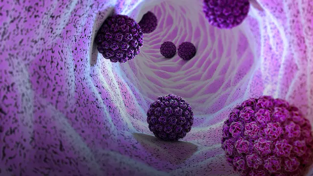 La microbiota vaginal como factor determinante en la infección por VPH
