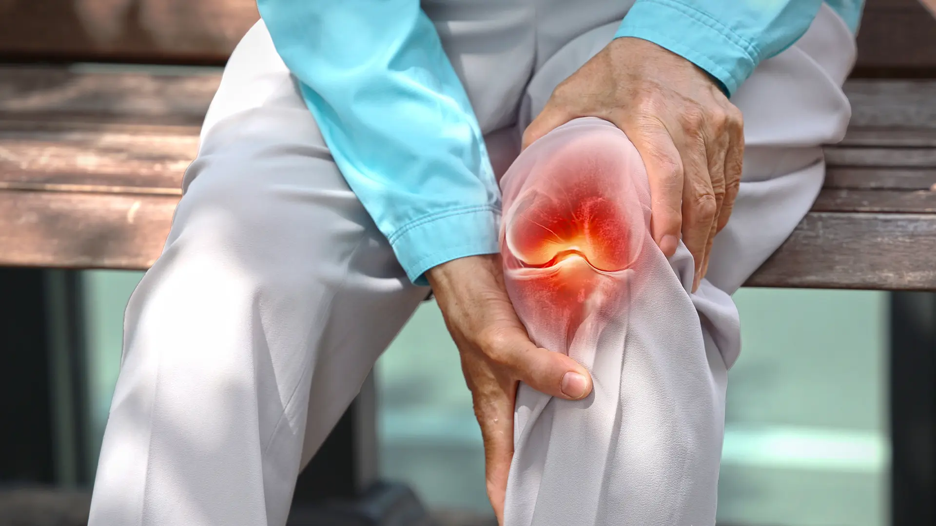 El poder de los SPM´s en la resolución de la inflamación en osteoartritis
