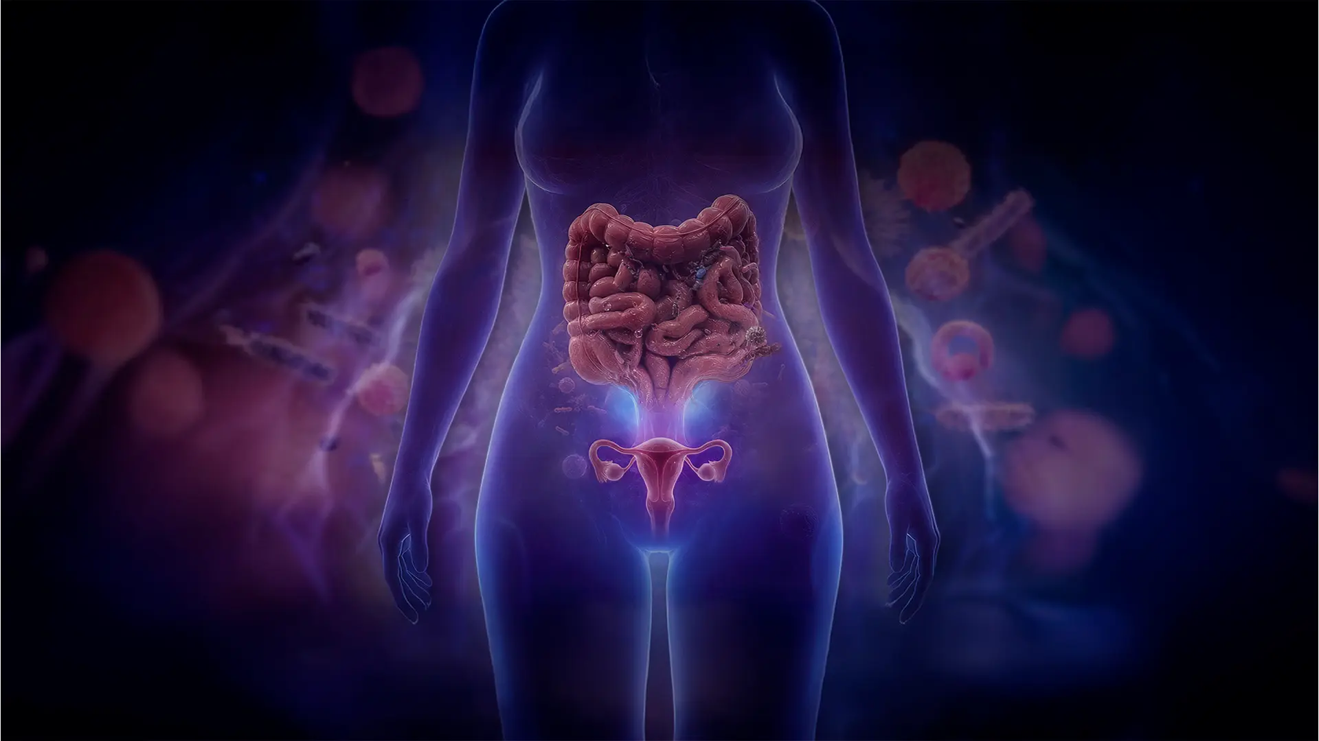 Microbiota, inflamación y ovario: La revolución del SOMP